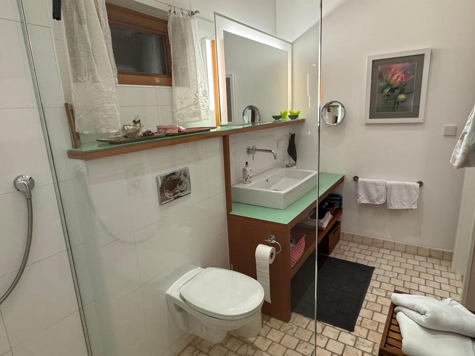 Shower, Toilet, towels