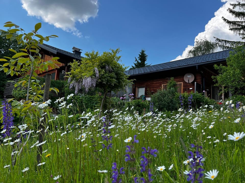 Property building, Spring, Garden