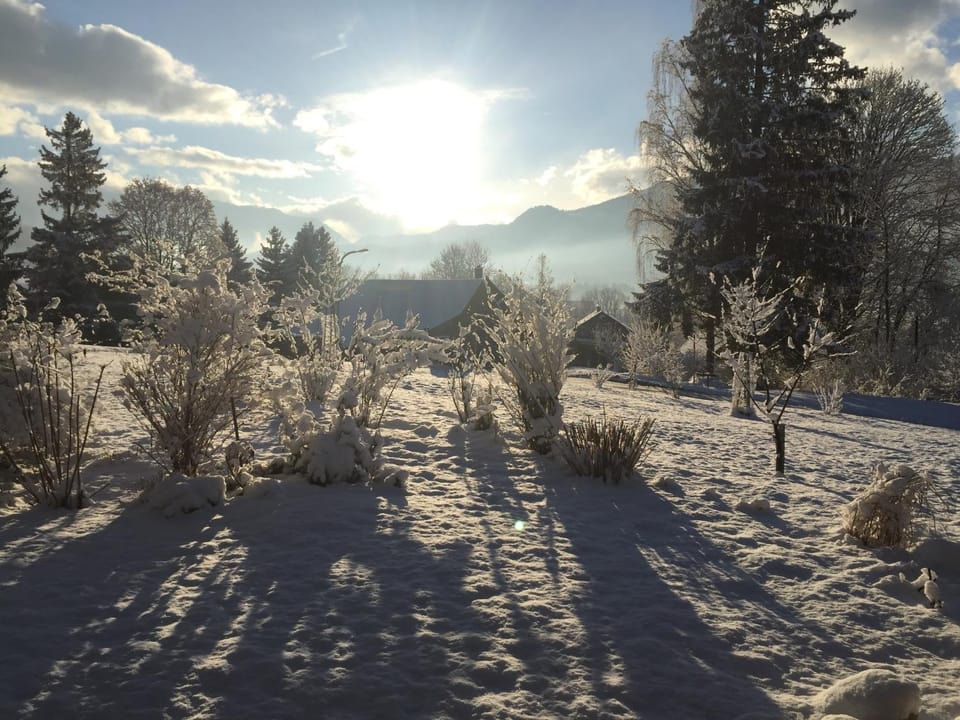 Natural landscape, Winter, Garden, Mountain view