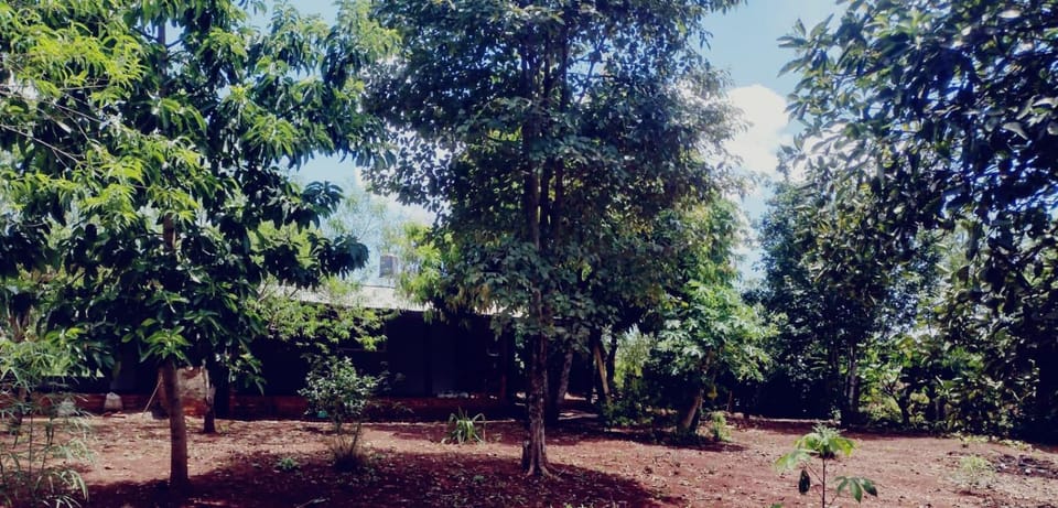 El descanso House in Misiones Province, Argentina