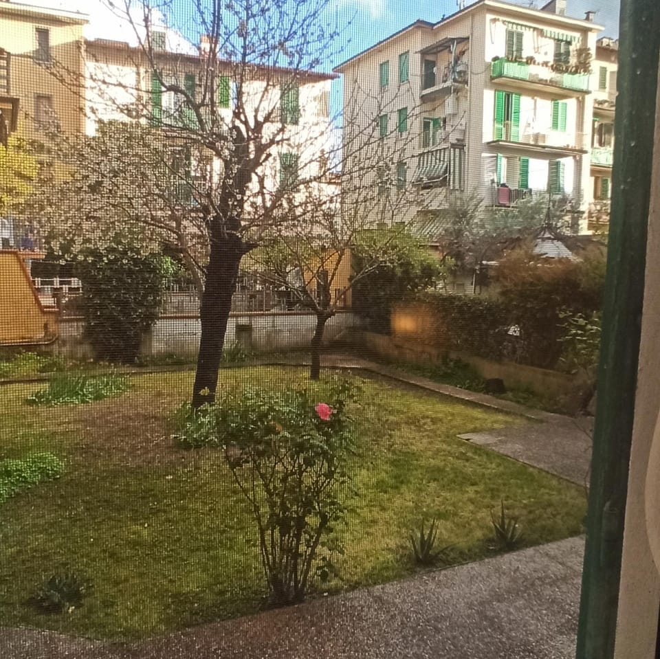 Spring, Natural landscape, Garden, Garden view, Garden view