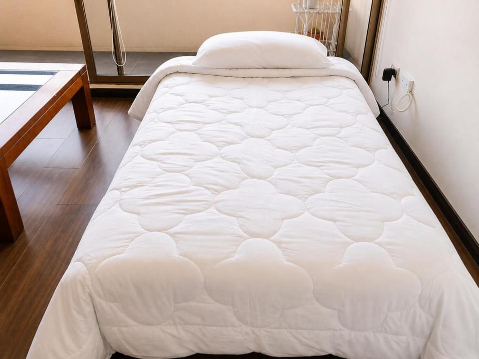 Amplio Departamento 1 dormitorio más sofá cama ideal para Movistar Arena bien conectado Apartment in Santiago