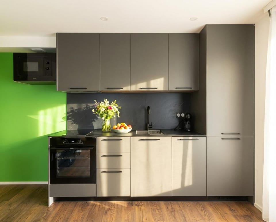 Le Premium-Prestige Residence Euroairport Apartment in Saint-Louis