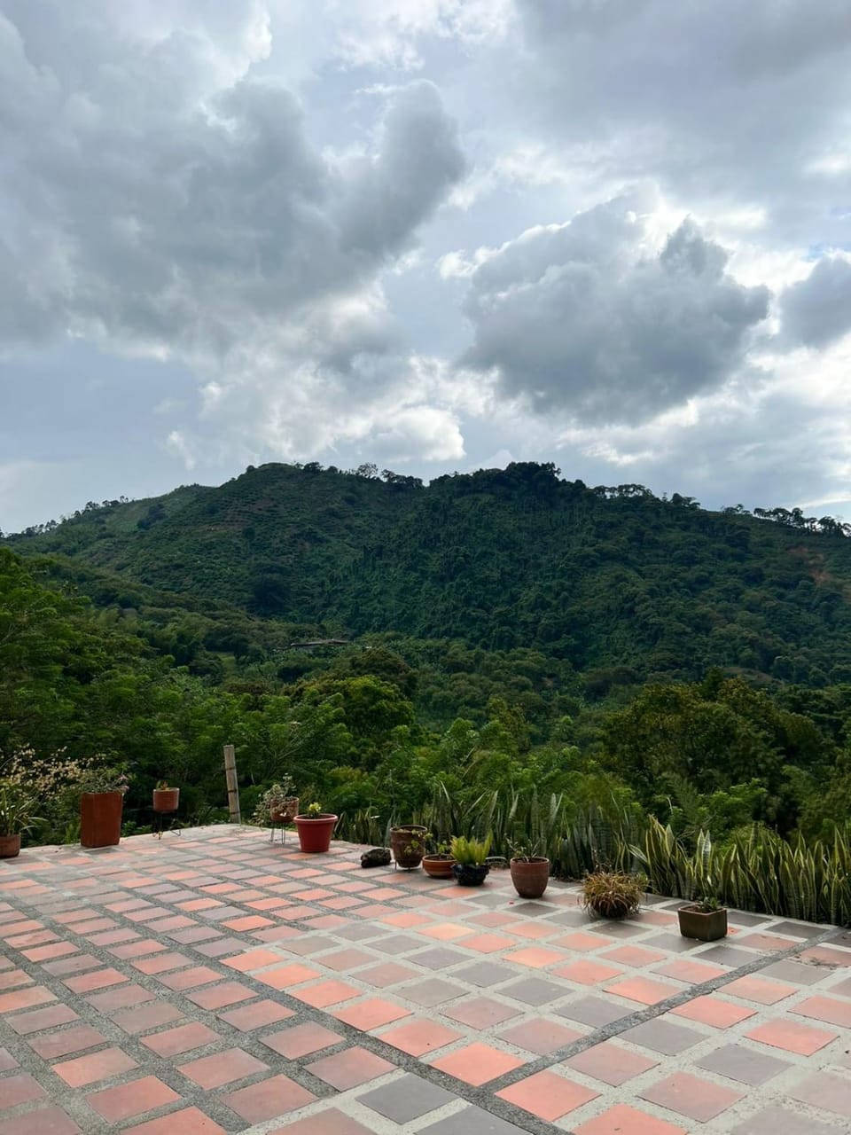 Natural landscape, Garden view