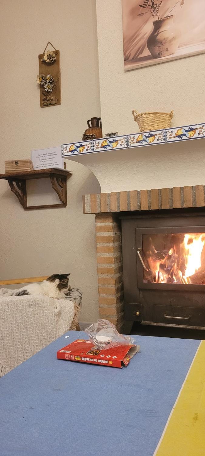 fireplace