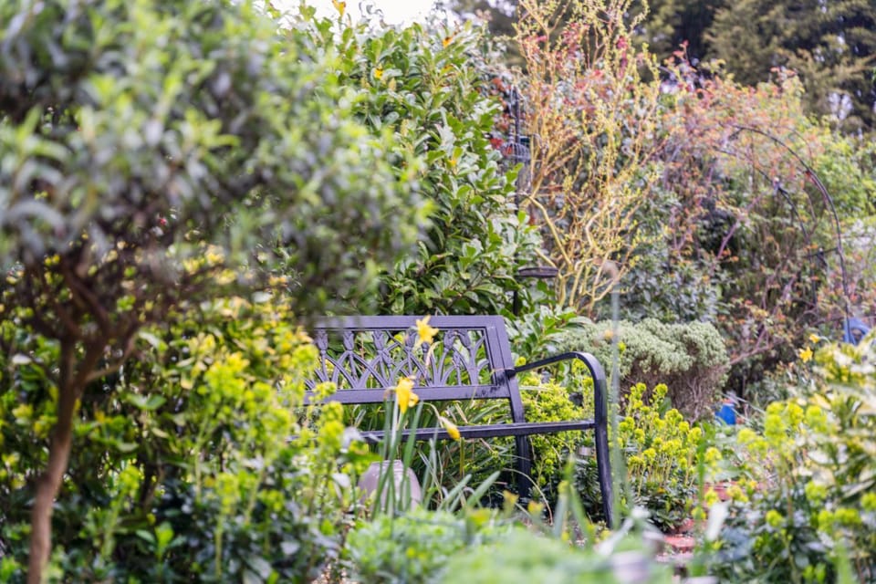 Natural landscape, Garden