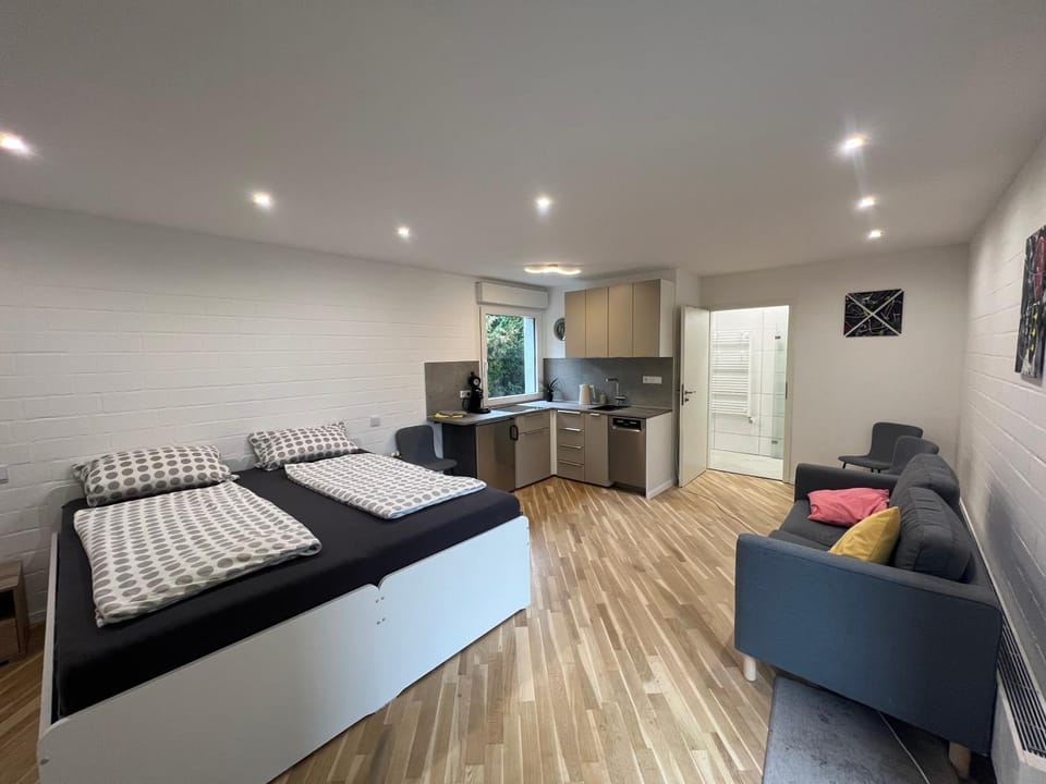 Bed, Kitchen or kitchenette, Living room, Photo of the whole room, Seating area, Bedroom