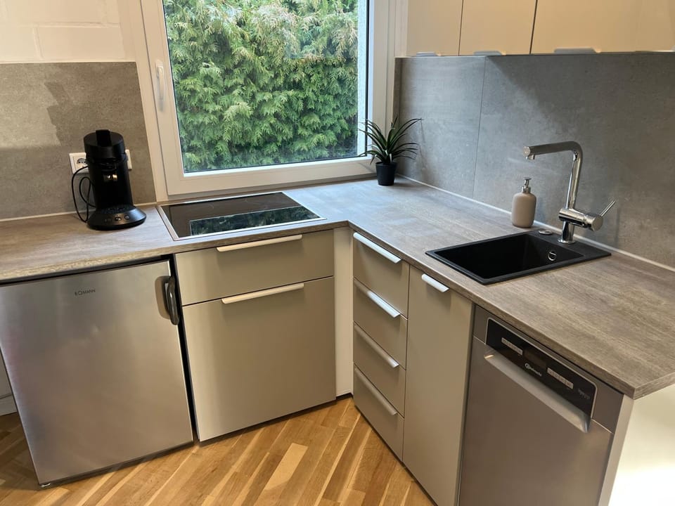 Coffee/tea facilities, Kitchen or kitchenette, dishwasher, stove