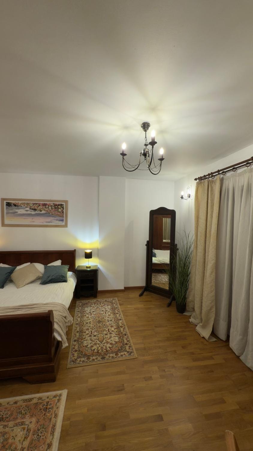 Vintage Luxury Flat Apartment in Cluj-Napoca