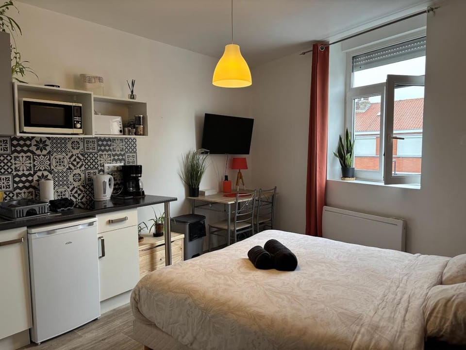 Bed, TV and multimedia, Kitchen or kitchenette, Photo of the whole room, Bedroom, oven, stove