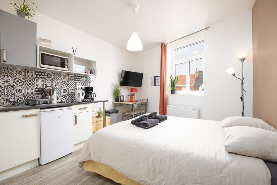 Bed, TV and multimedia, Kitchen or kitchenette, Photo of the whole room, Bedroom, stove, toaster, towels