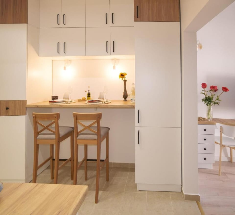 City Center Studio - Calea Victoriei Apartment in Bucharest
