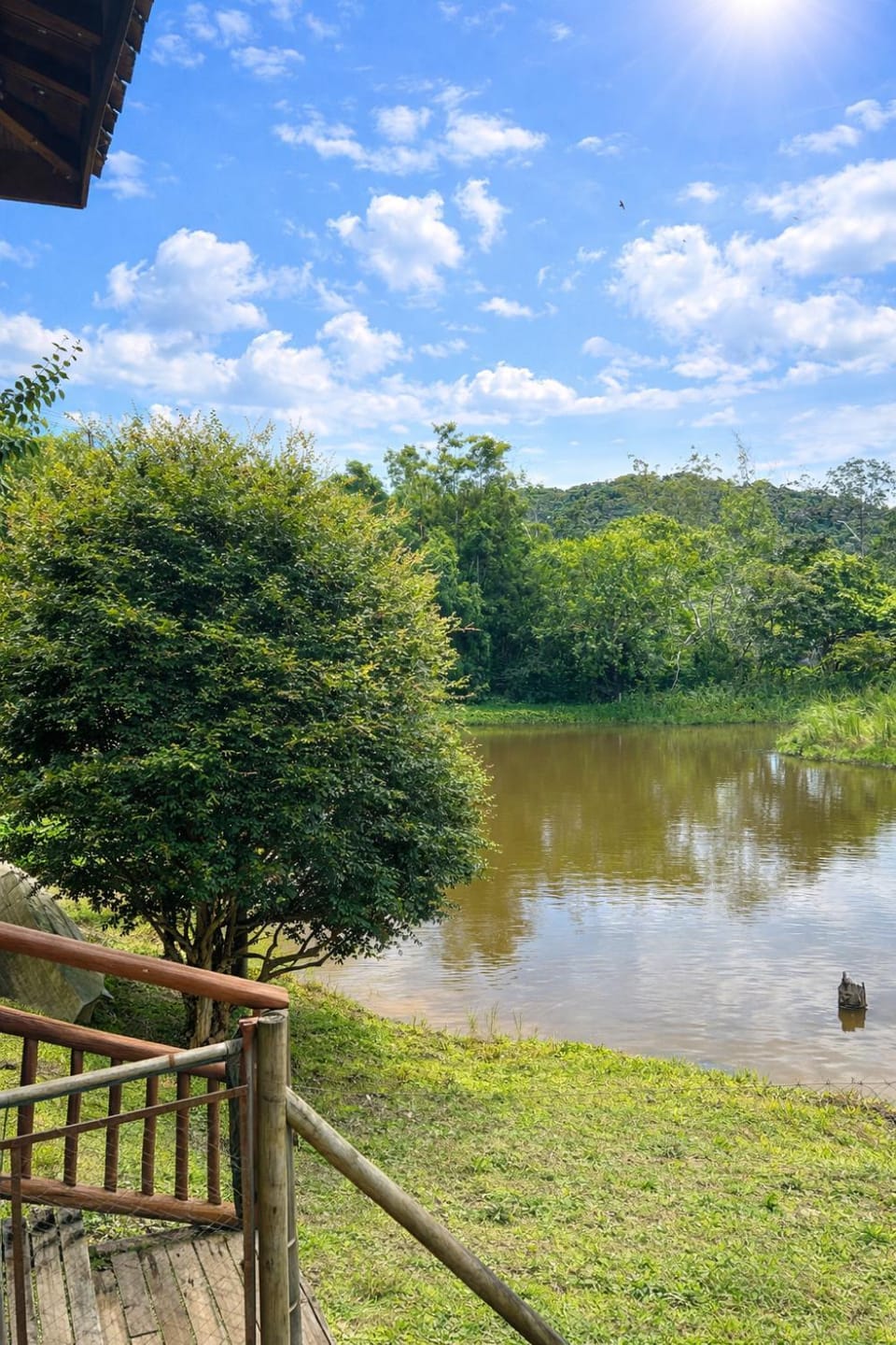 Lake view