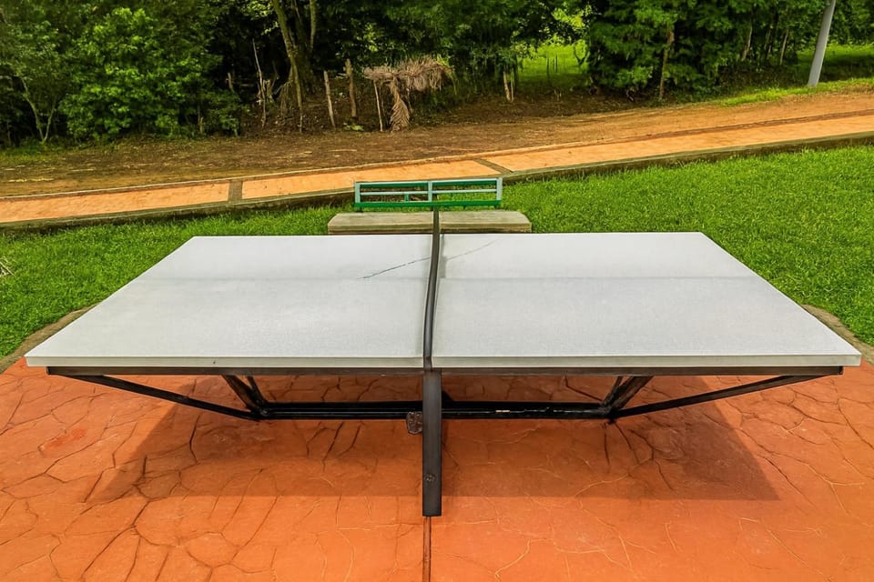 Table tennis, Table tennis