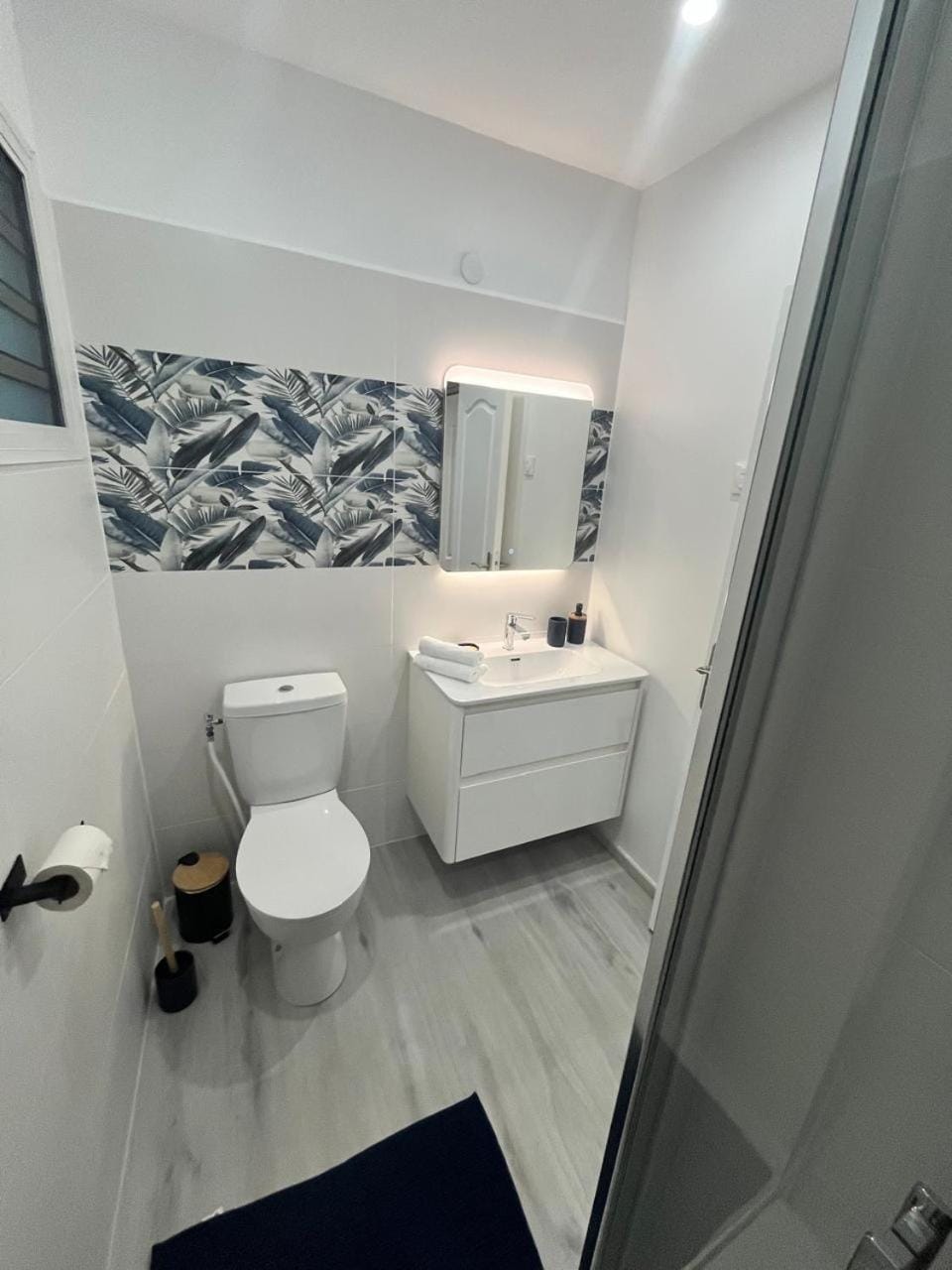 Toilet, Bathroom
