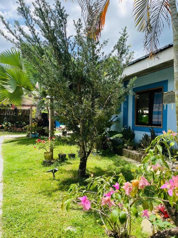 Beachside Apartment in the Heart of Port Barton Apartment in San Vicente