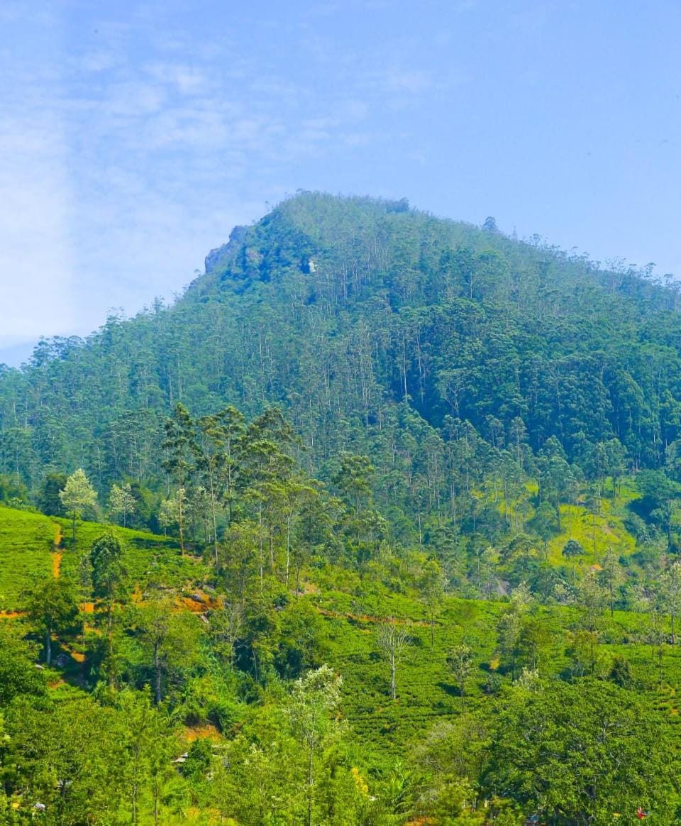 Nearby landmark, Day, Natural landscape, Mountain view