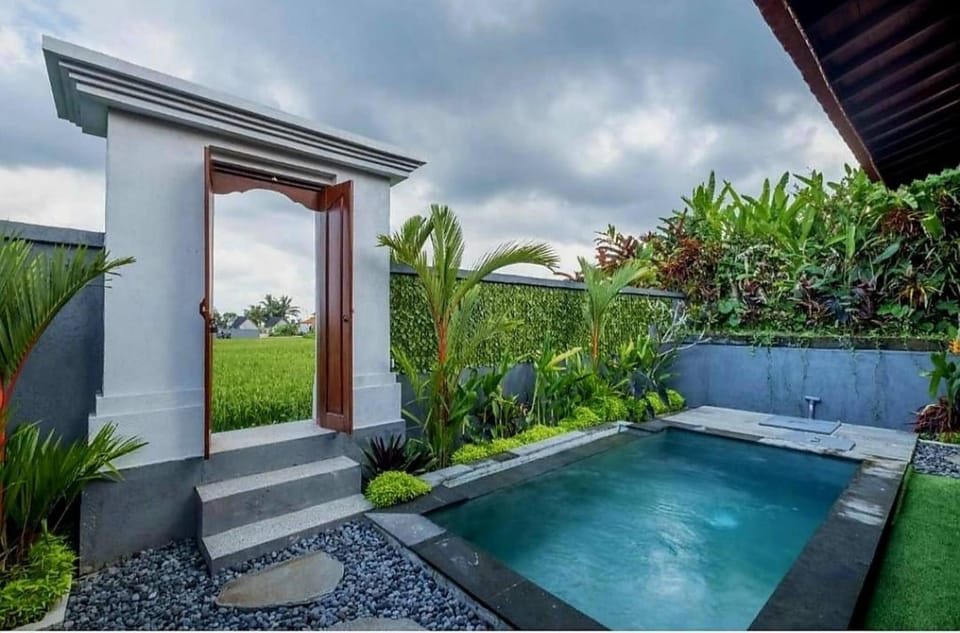 Garden, Swimming pool