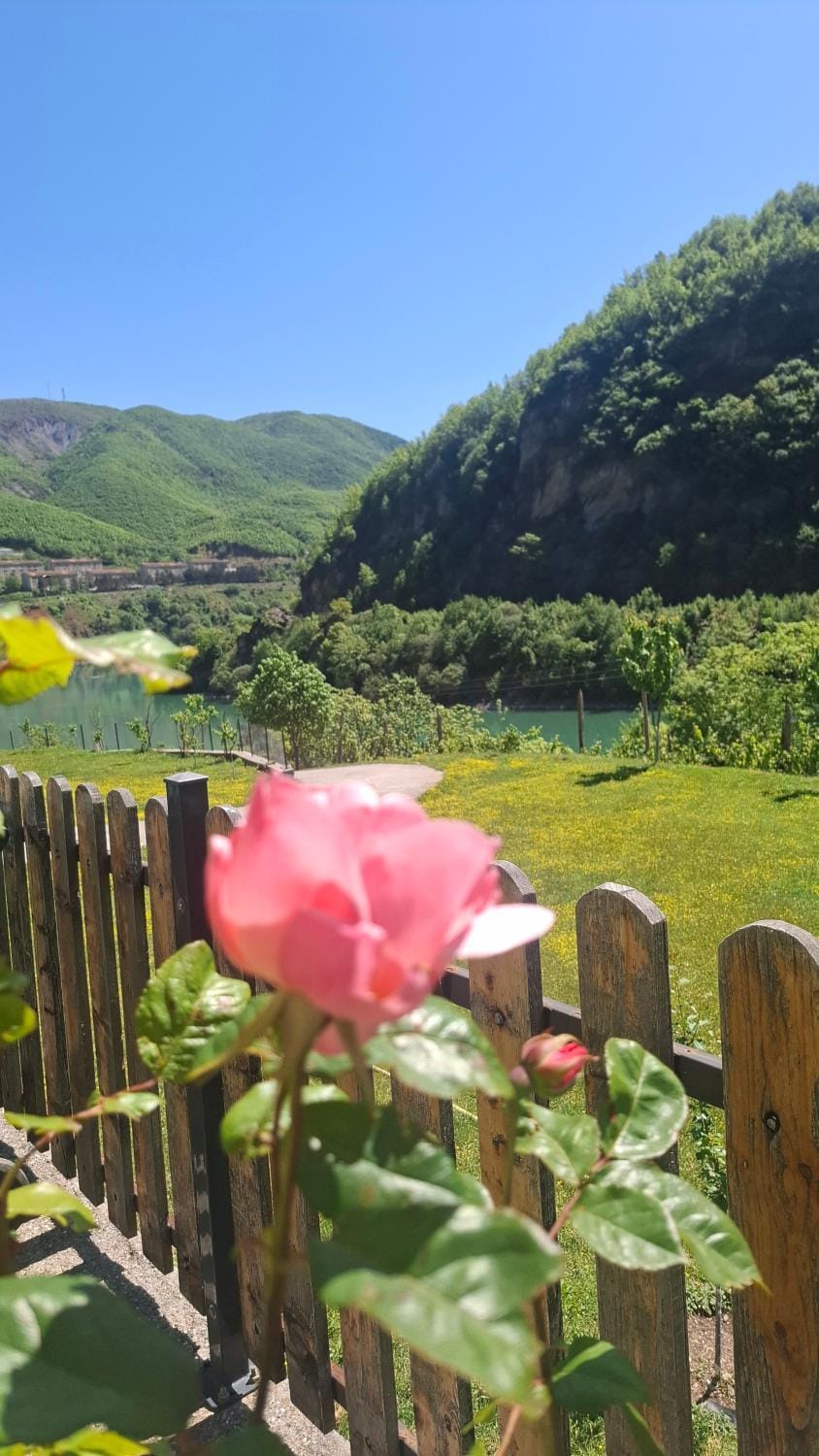 Guest House Artjoni 2026 Apartment in Montenegro