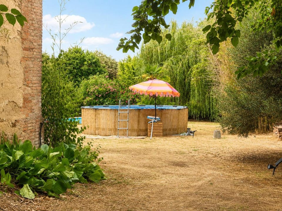 Spring, Day, Summer, Garden, Garden view, Pool view, Swimming pool