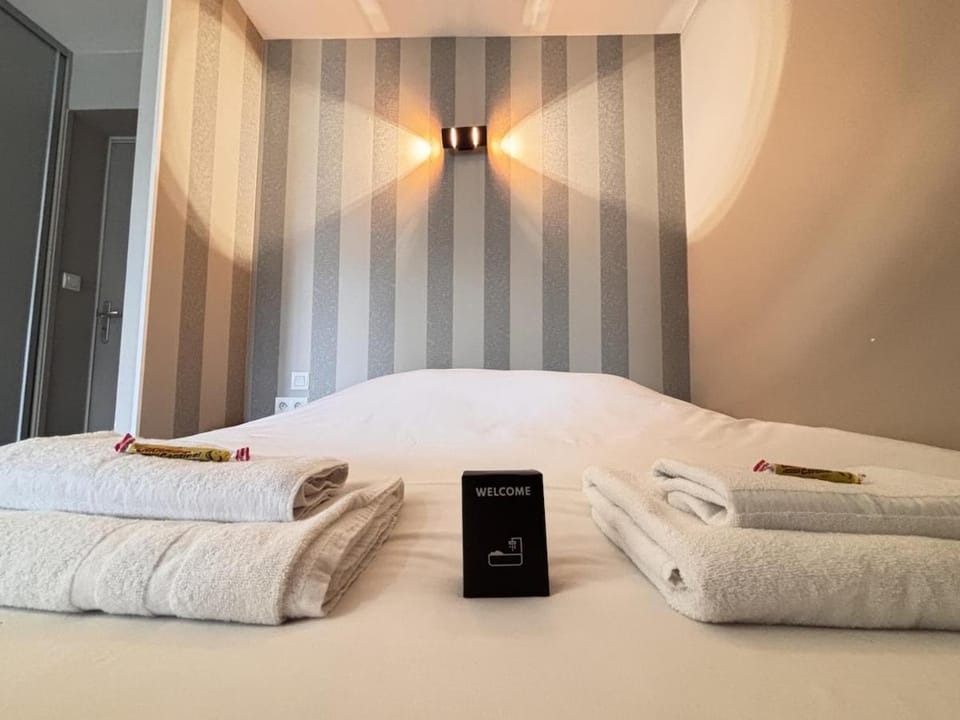 L'écrin Urbain studio chic et lumineux avec Balcon Apartment in Reims