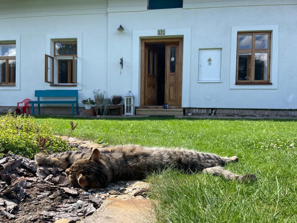 Garden, Pets