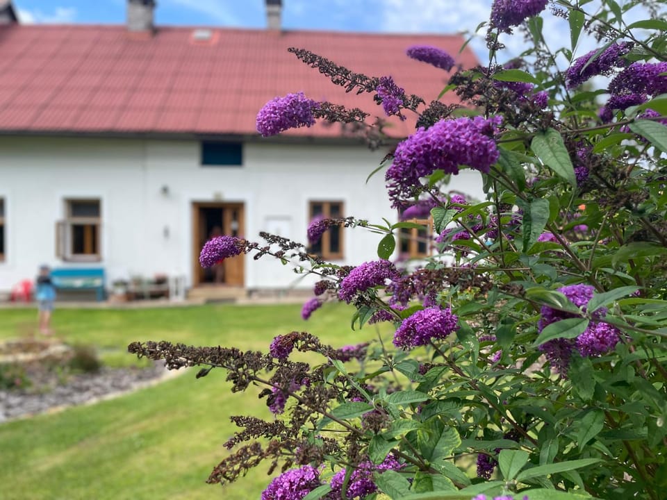 Garden, Garden view