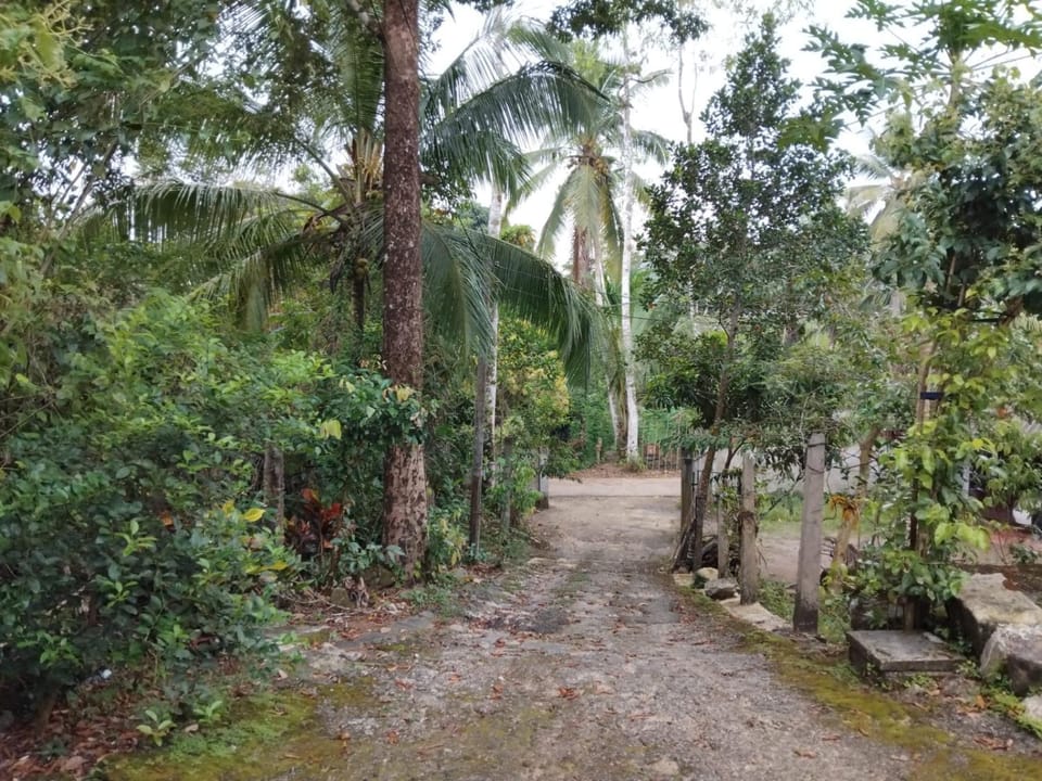 Jayawila Holiday Home Apartment in Hikkaduwa