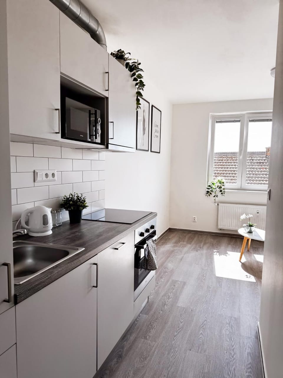 Kitchen or kitchenette, microwave, stove