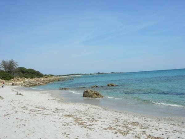 Cosy house a walk to the beach! House in Cala Liberotto