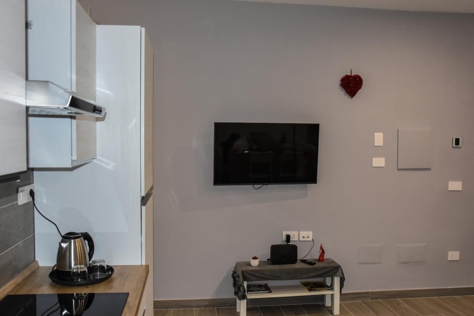 TV and multimedia, internet