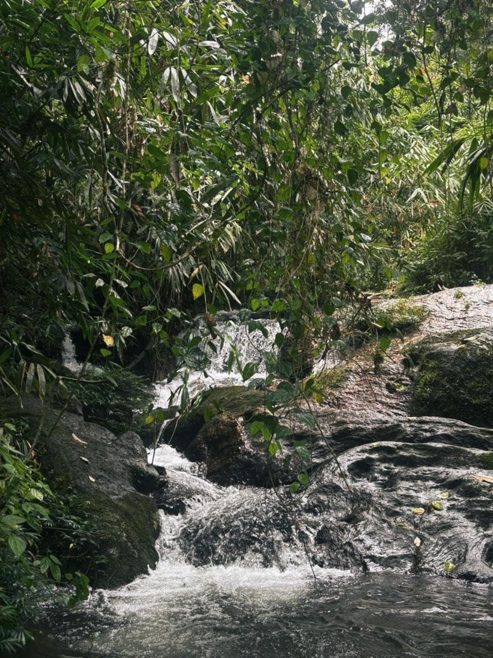Natural landscape, Lake view, River view