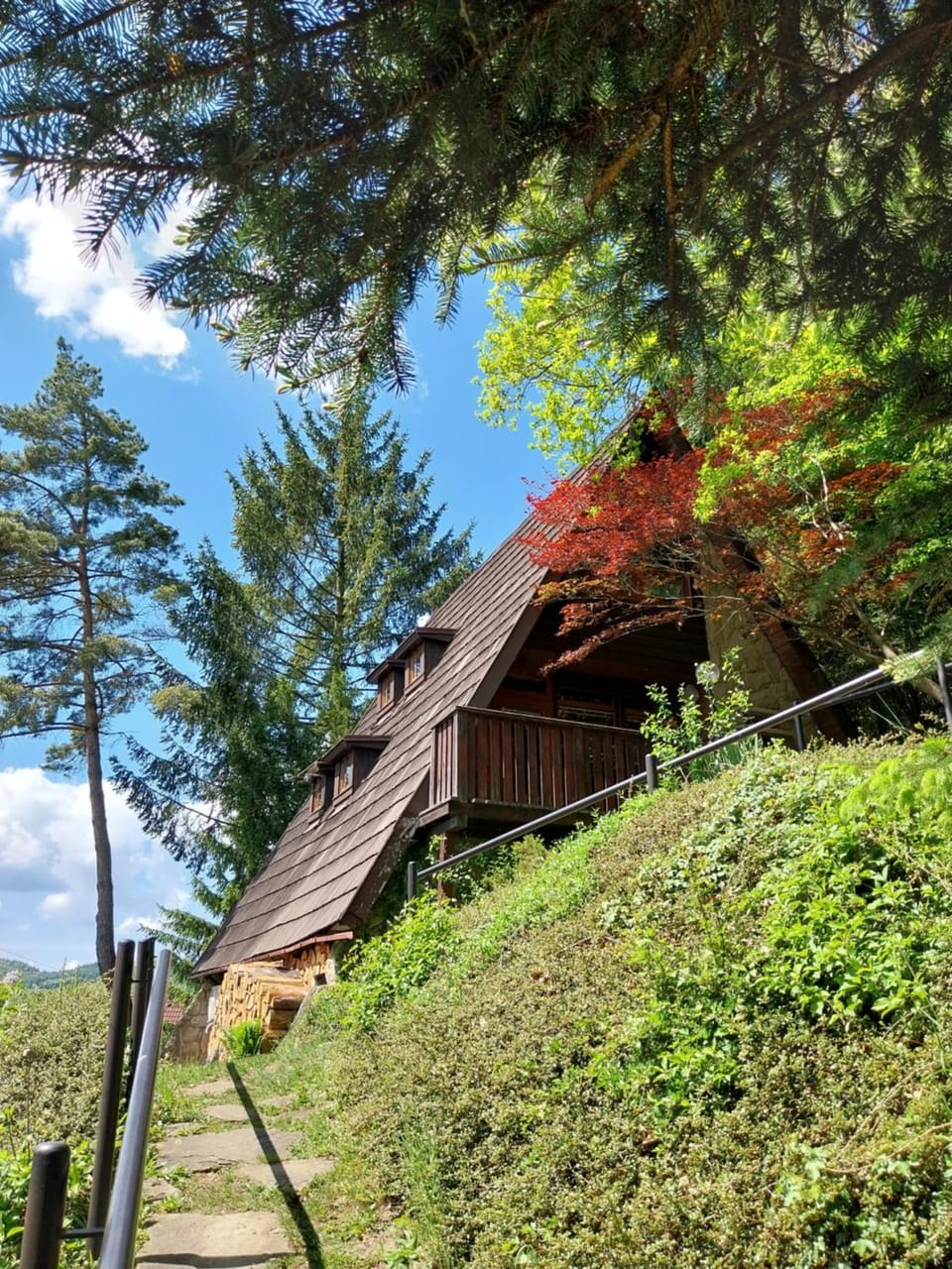 Chata Huslenky House in Czechia