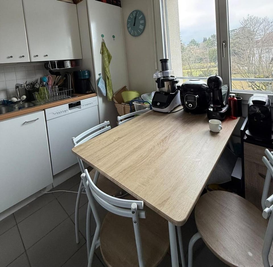 Double room and private bath in a shared flat, quiet, close to the UN and airport Apartment in Geneva