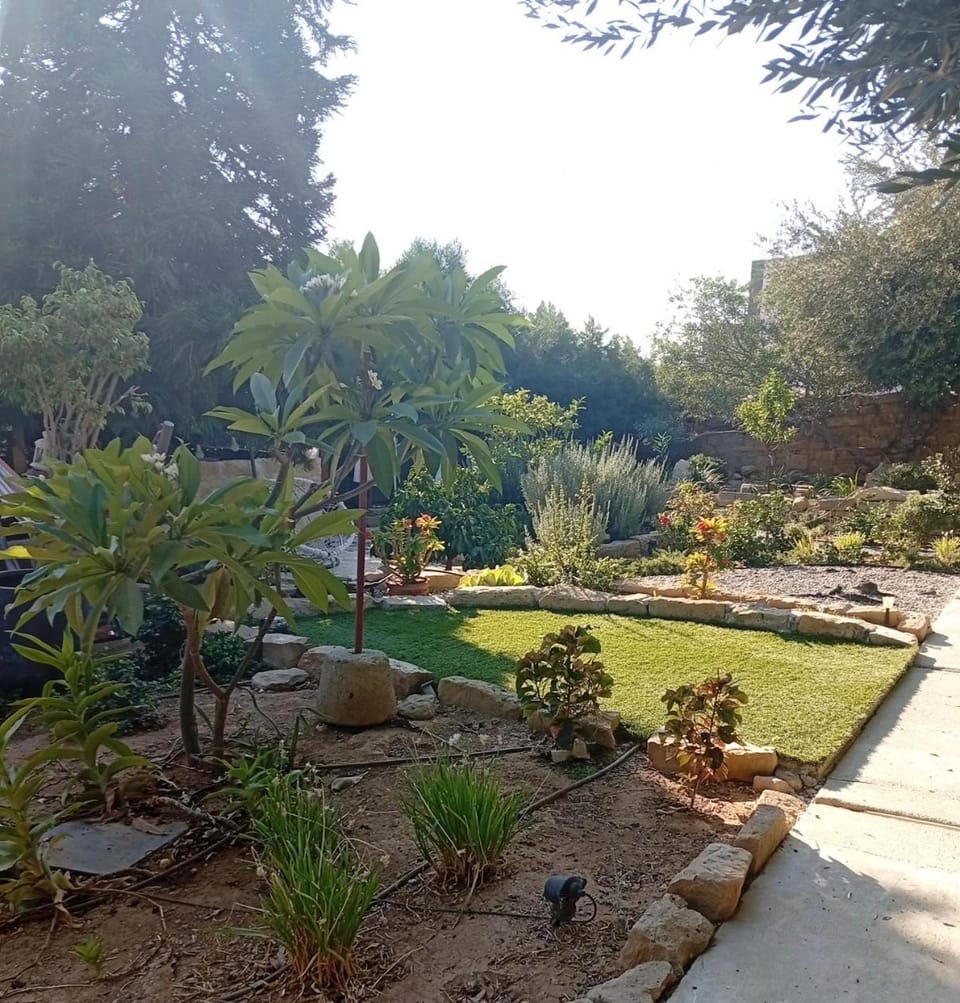 Little paradise House in Germasogeia