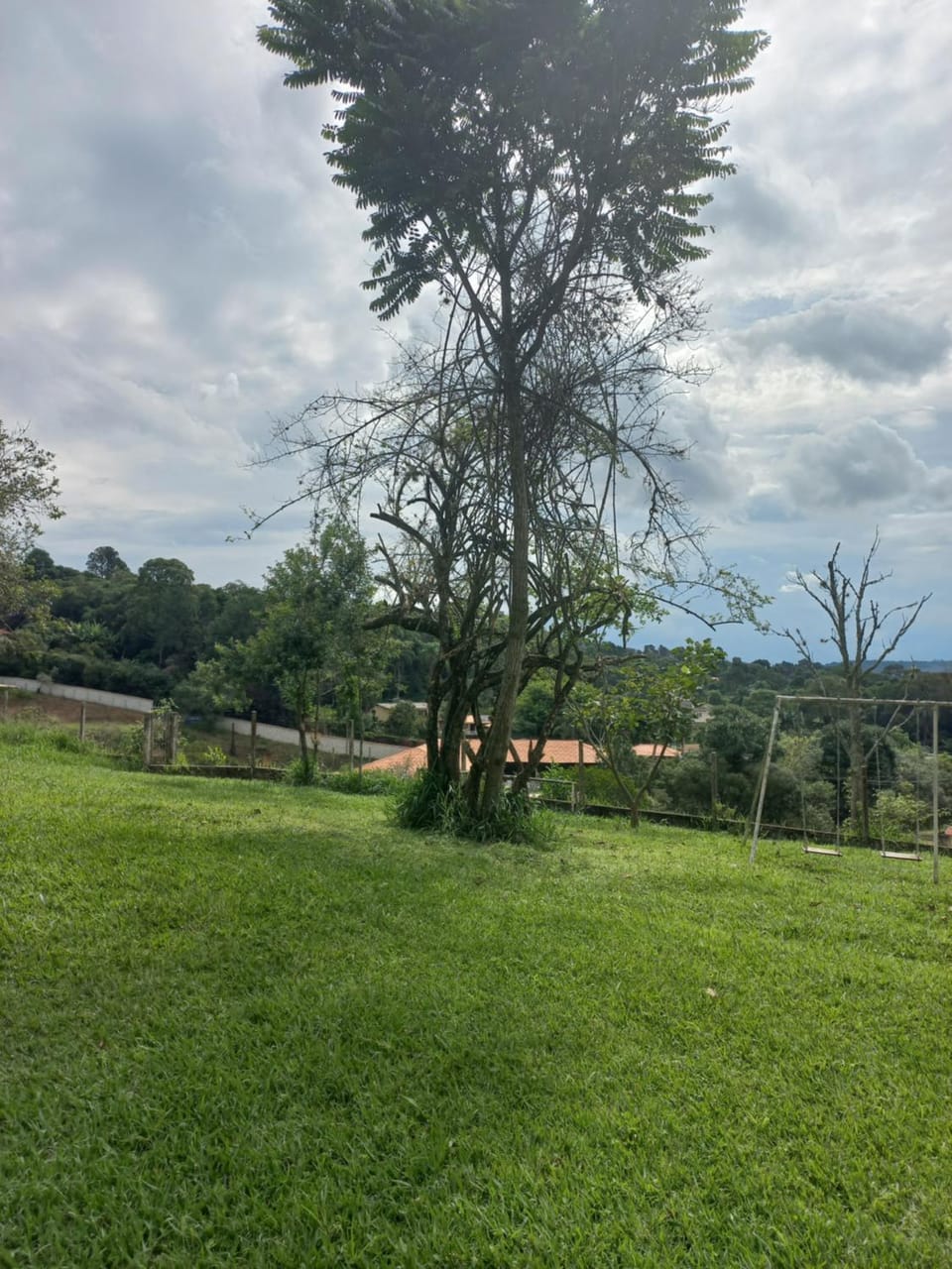 Sítio do Ipê House in State of São Paulo