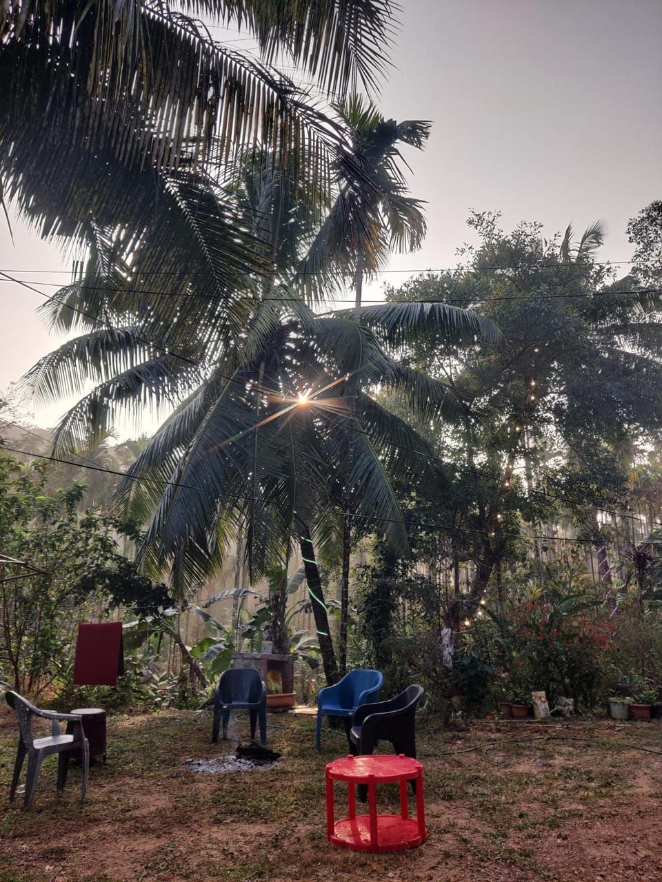 Sirimane Jungle Homestay Vacation rental in Karnataka