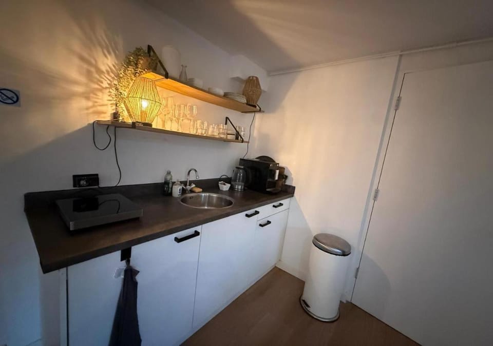 Central Luxe Family Retreat Vacation rental in Amstelveen