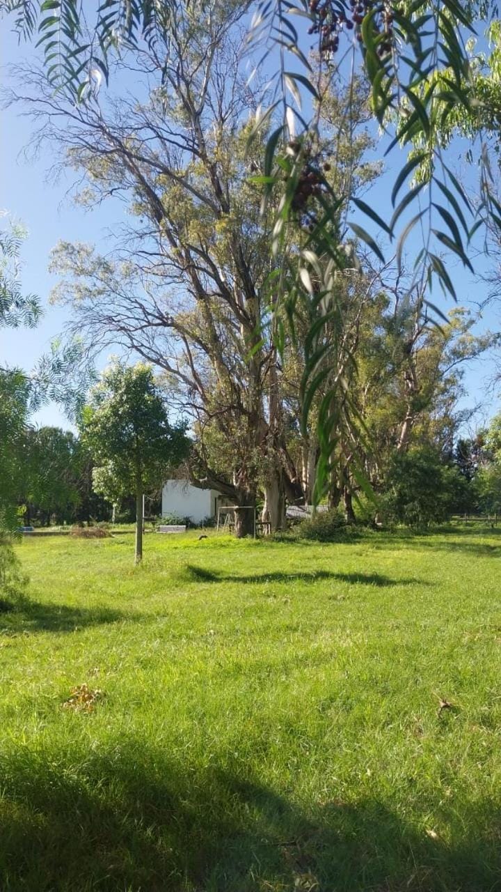 La Nave Bosque y Rio House in Buenos Aires Province