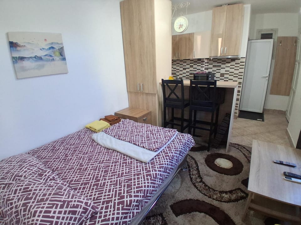 Studio19 Apartment in Podgorica