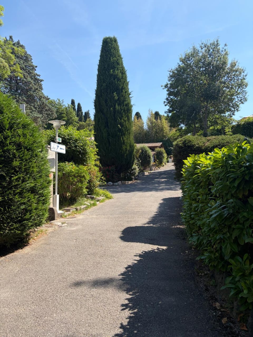 Neighbourhood, Garden