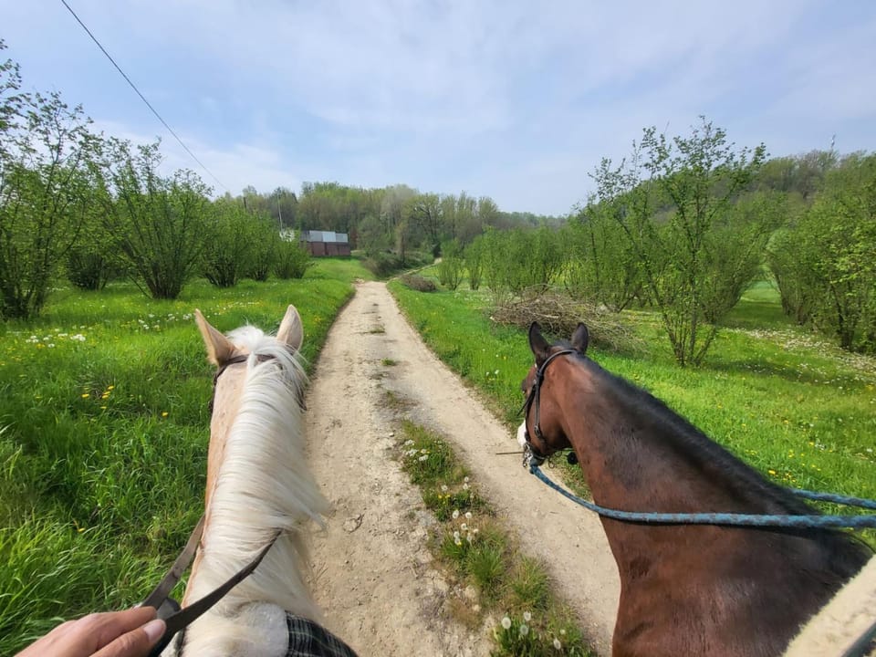 B&B Anima Selvaggia Ranch Bed and Breakfast in Piedmont