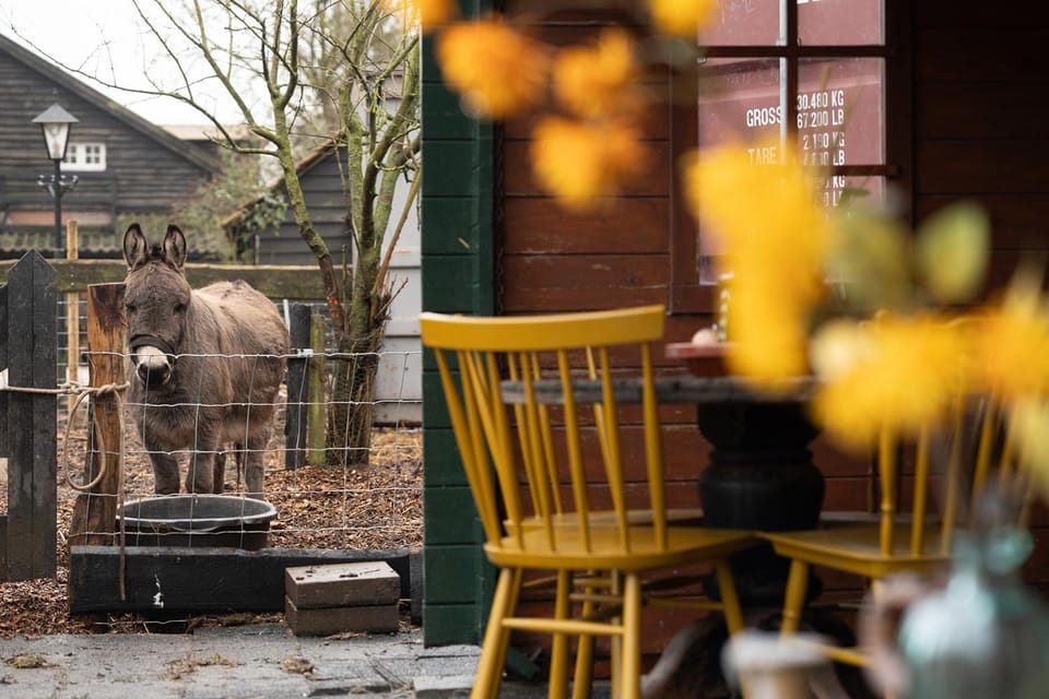 Sleeping among the sheep at Vrouwtje Poppy House in Gelderland, Netherlands