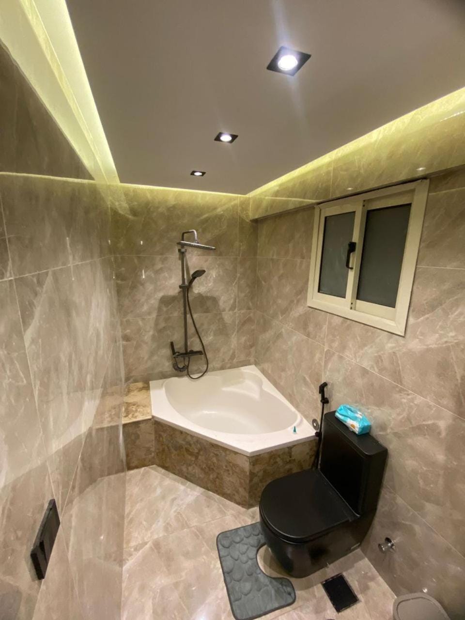 سويت فندقي فاخر أطلالة على النيل Apartment in Cairo