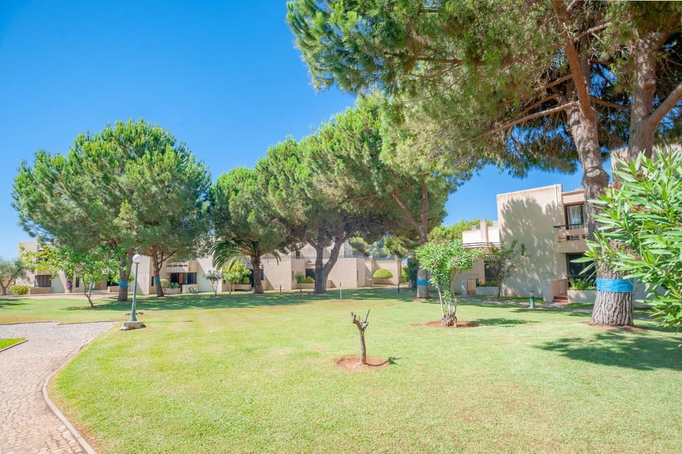 Garden, Inner courtyard view