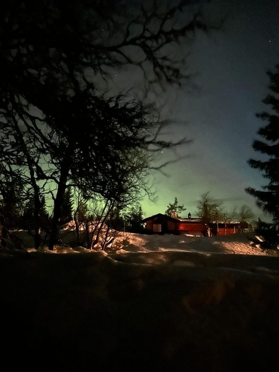Högt upp på fjället! House in Sweden