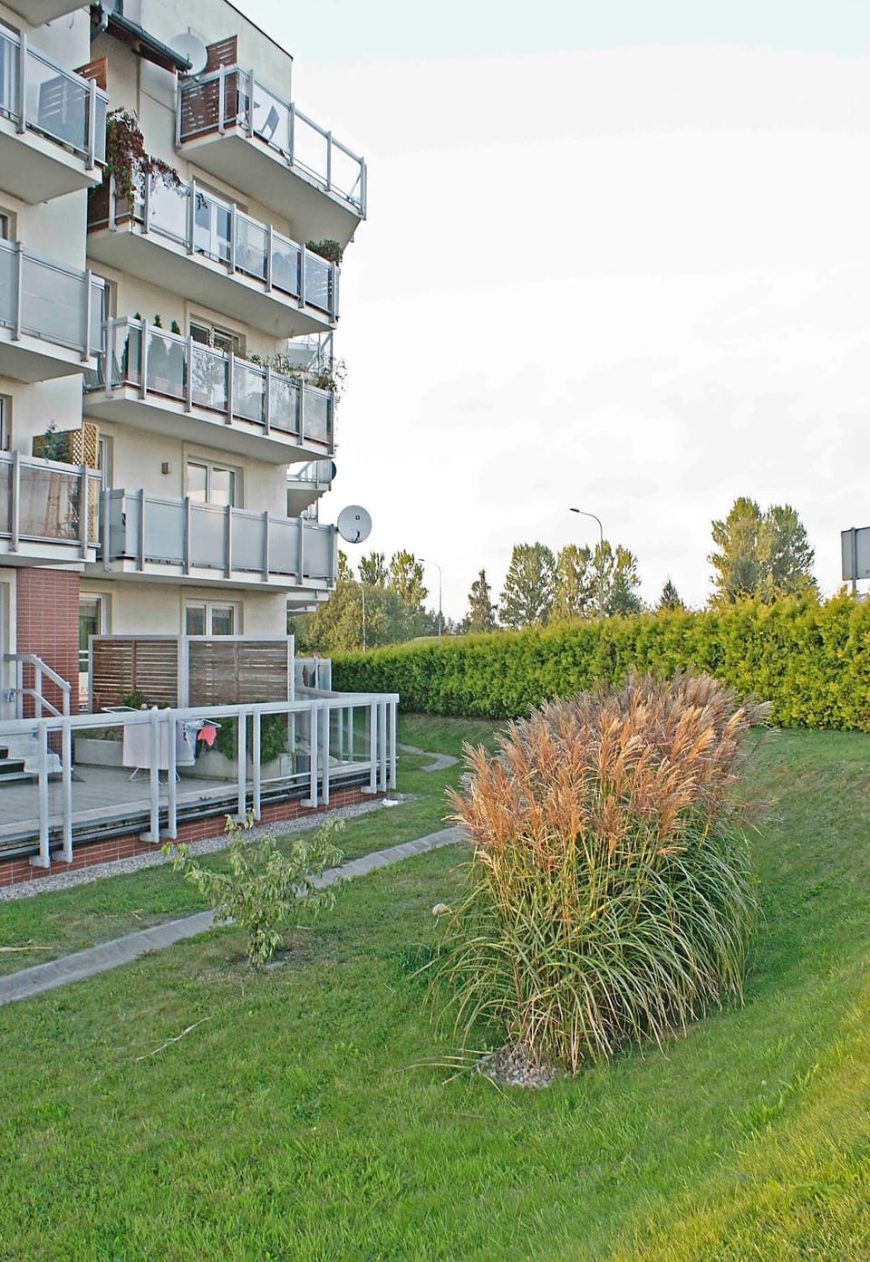 Property building, Natural landscape, Garden, Garden view