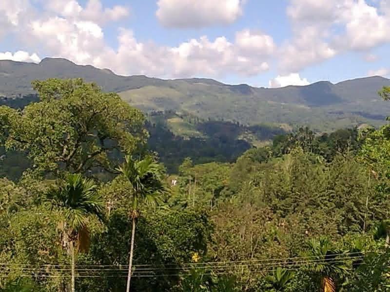 Thanayama Deniyaya Bed and Breakfast in Southern Province