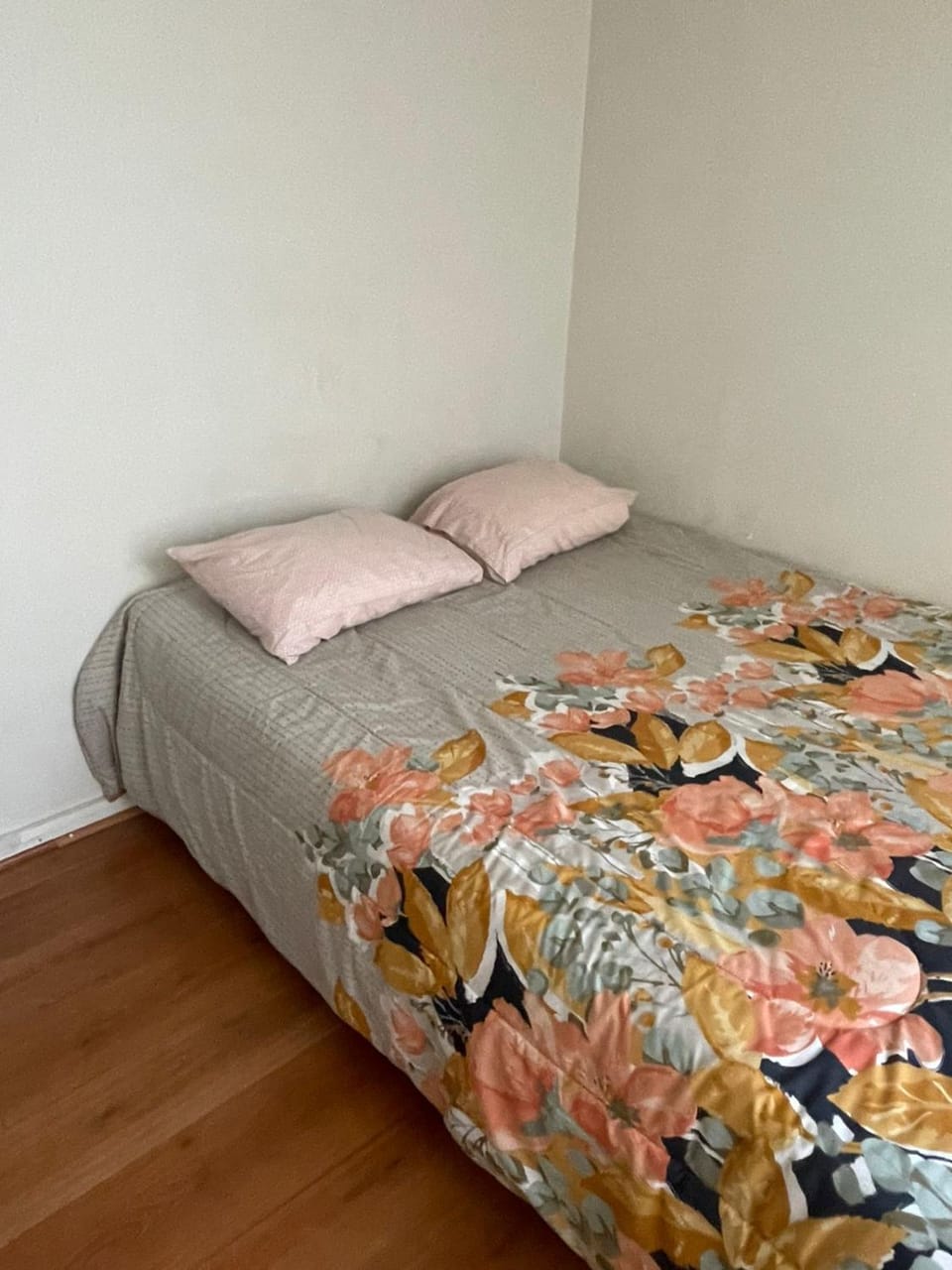 Departamento 1 ambiente Apartment in Santiago