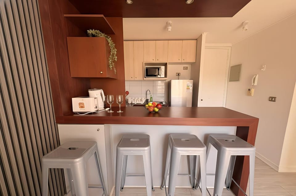 Cómodo Departamento I Centro de Santiago Apartment in Santiago